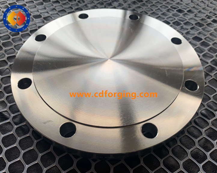 Blind Flange(图1)